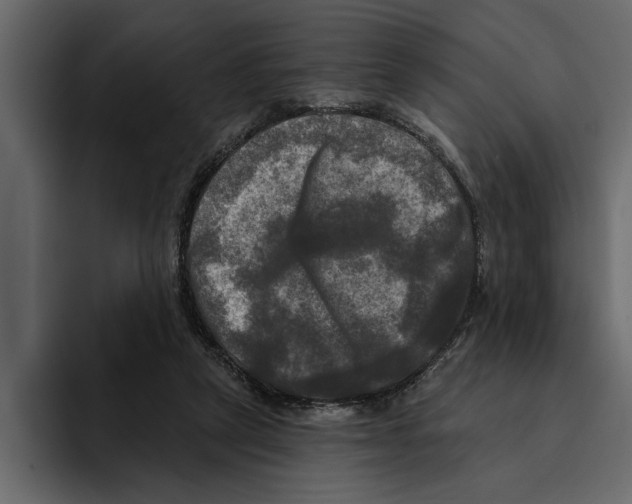 X0000094790257200712141643