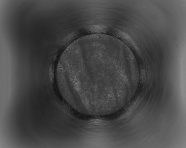 X0000094790259200712141643