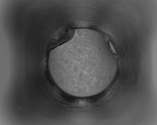 X0000094790264200712141644