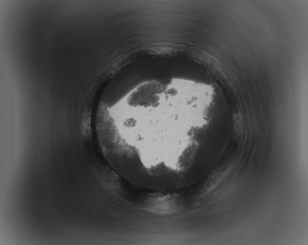 X0000094790267200712141644