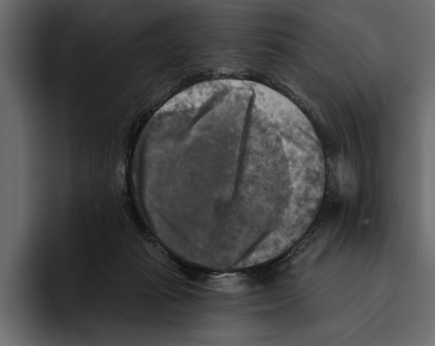 X0000094790269200712141644