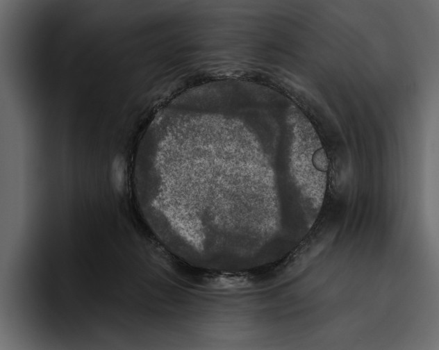 X0000094790270200712141644