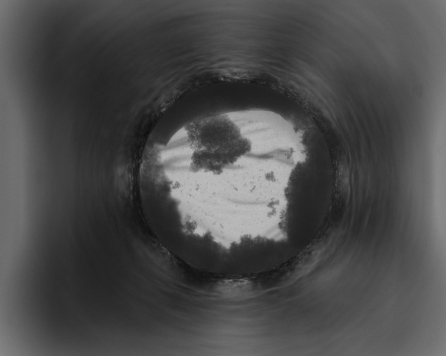 X0000094790271200712141644