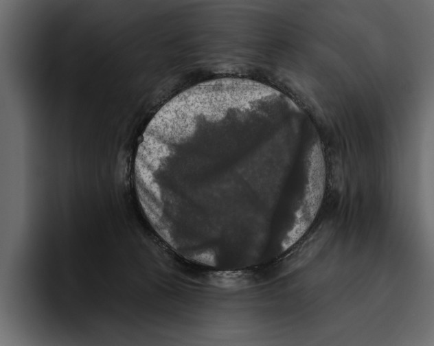 X0000094790273200712141644