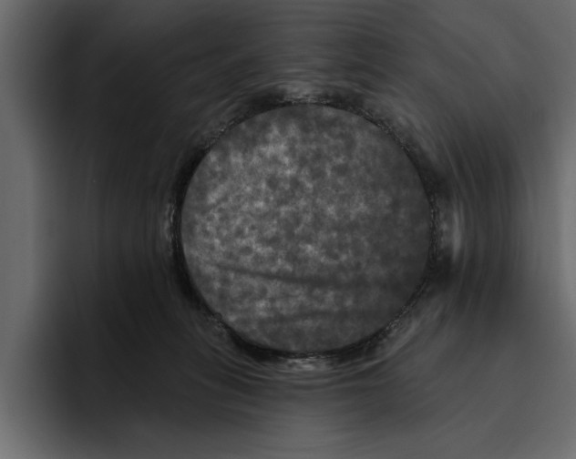 X0000094790275200712141644