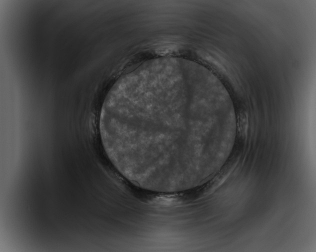 X0000094790280200712141644