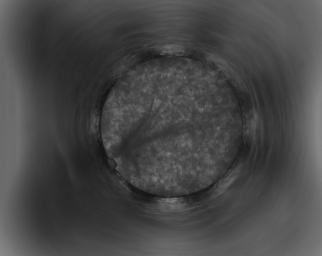 X0000094790281200712141644