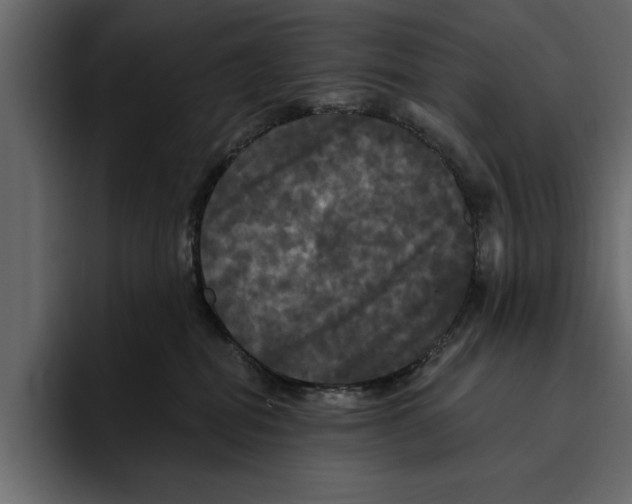 X0000094790282200712141644