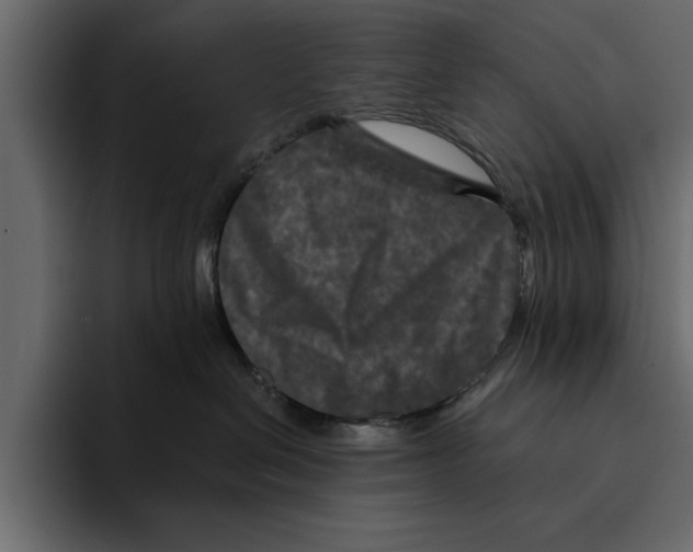 X0000094790286200712141644