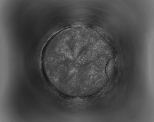 X0000094790290200712141643