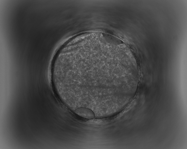 X0000094790294200712141643