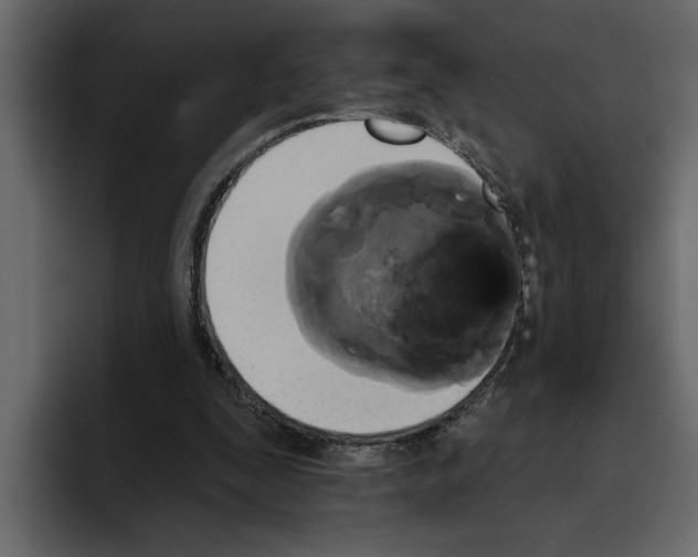 X0000094790295200712141643