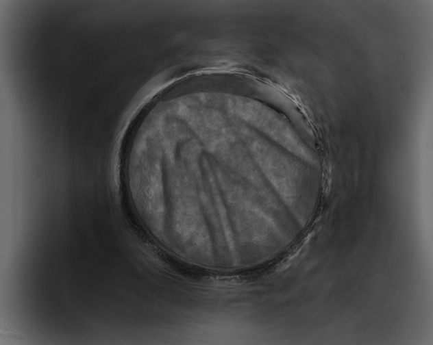 X0000094790296200712141643