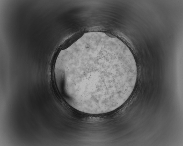 X0000094790298200712141643