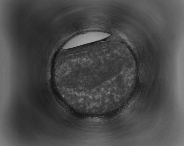 X0000094790299200712141643