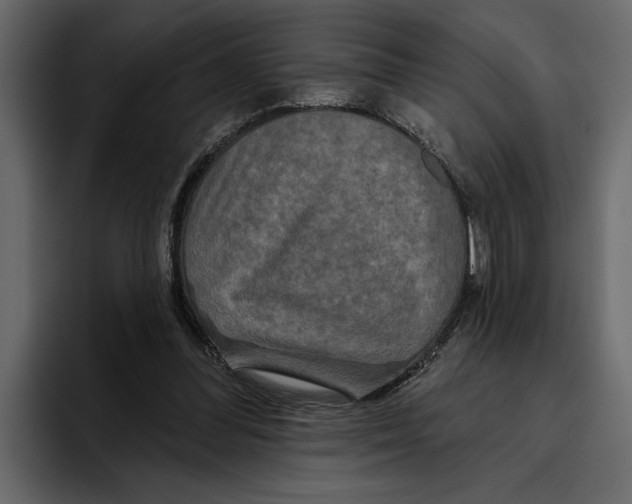 X0000094790300200712141643