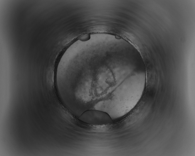 X0000094790301200712141643