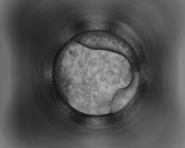 X0000094790305200712141643