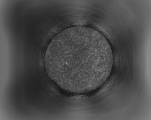 X0000094790307200712141643