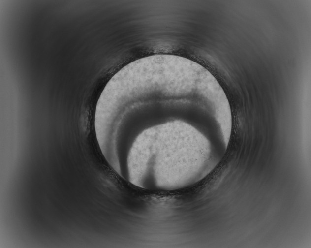 X0000094790311200712141643