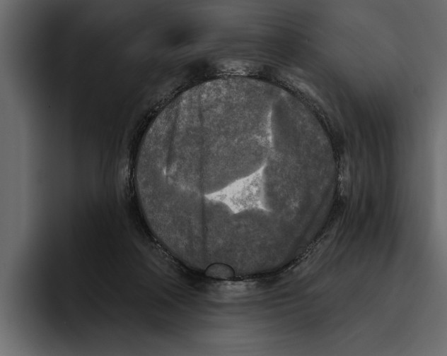 X0000094790314200712141643