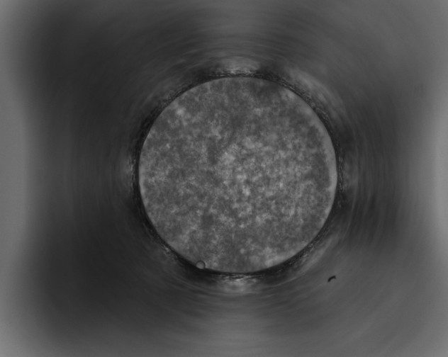 X0000094790321200712141643