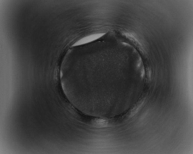 X0000094790325200712141643