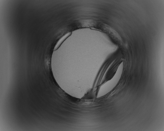 X0000094790329200712141643