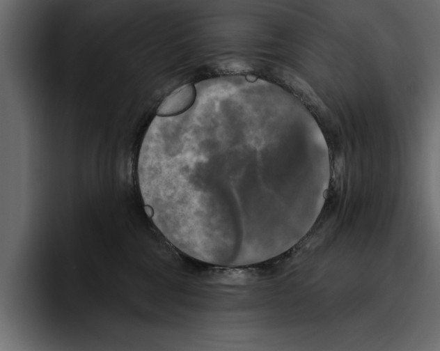 X0000094790330200712141643