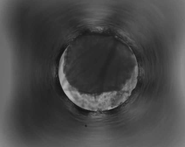 X0000094790331200712141643