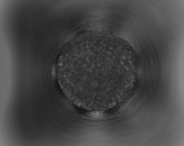 X0000094790335200712141643