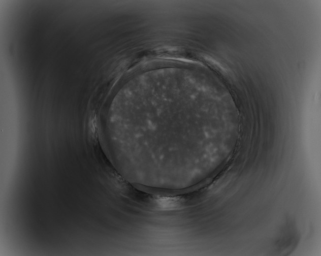 X0000094790336200712141643