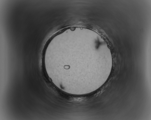 X0000094790344200712141642