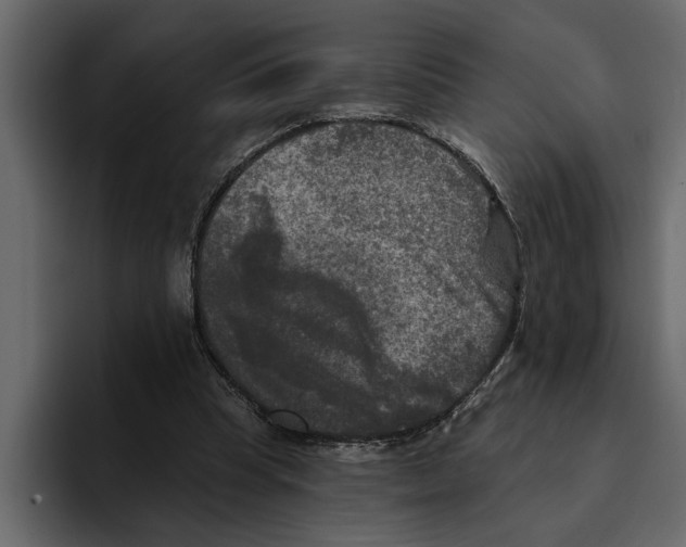 X0000094790345200712141642