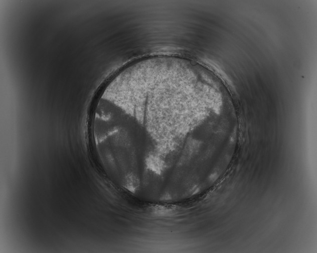 X0000094790346200712141642