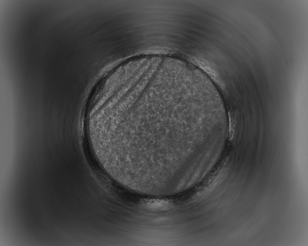 X0000094790348200712141642