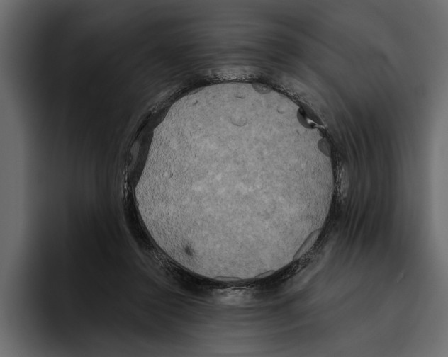 X0000094790356200712141642