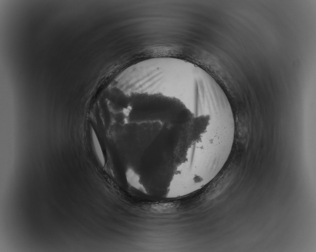 X0000094790357200712141642