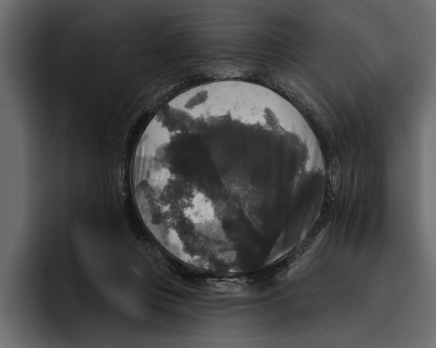 X0000094790359200712141642