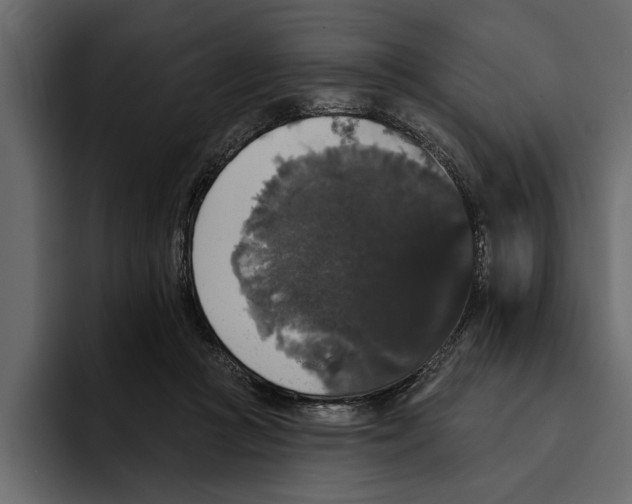 X0000094790361200712141642