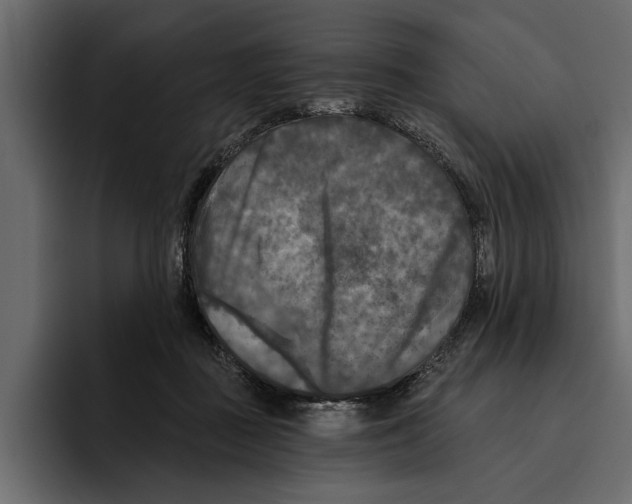 X0000094790363200712141642