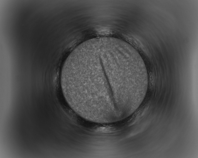 X0000094790364200712141642