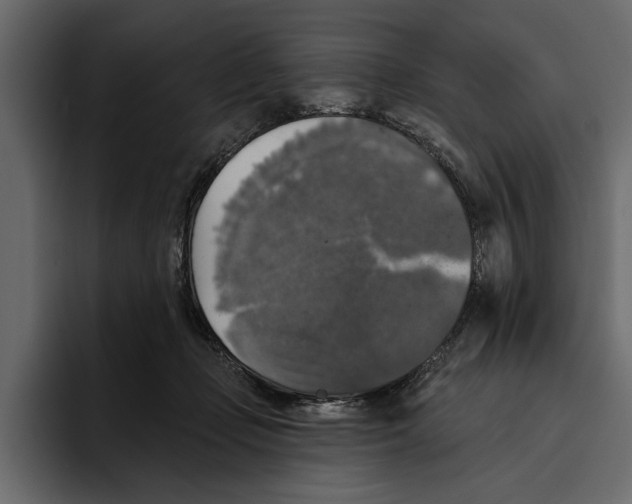 X0000094790365200712141642