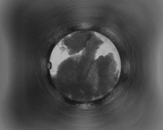 X0000094790366200712141642