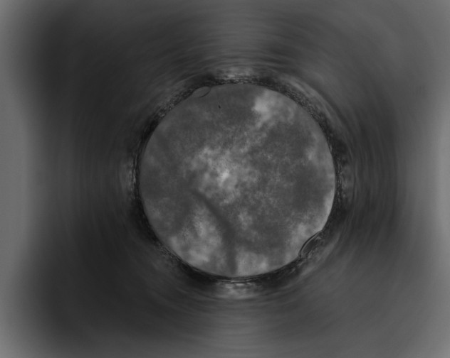 X0000094790372200712141642