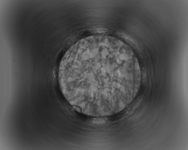 X0000094790373200712141642