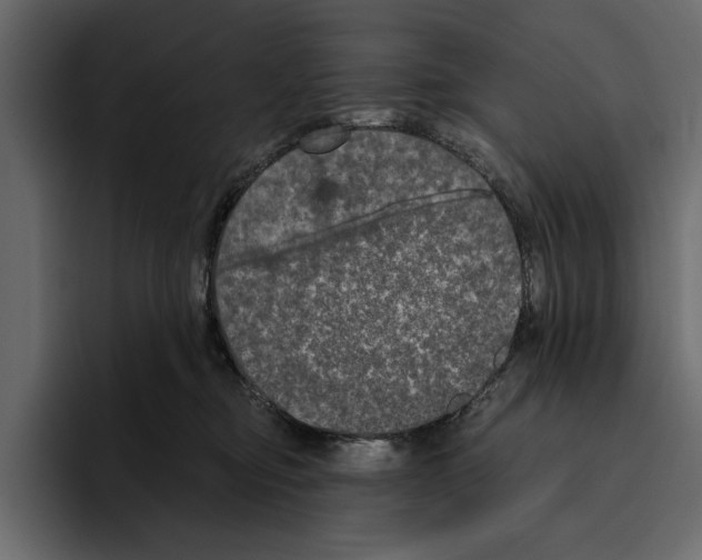 X0000094790374200712141642