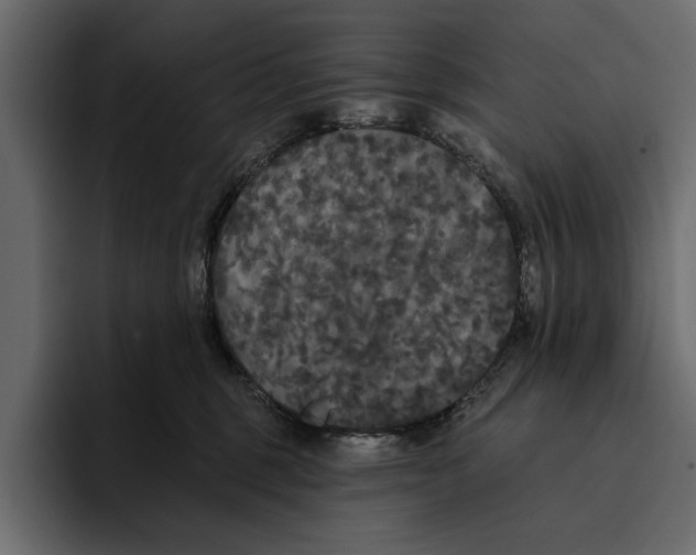 X0000094790375200712141642