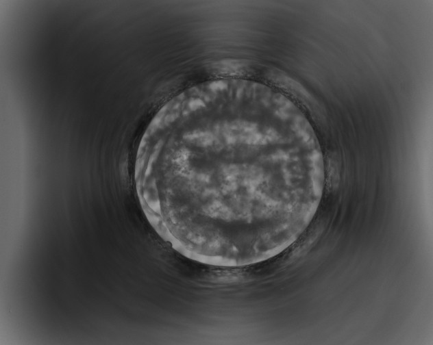 X0000094790377200712141643