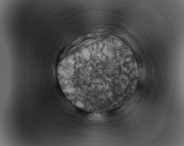 X0000094790381200712141643